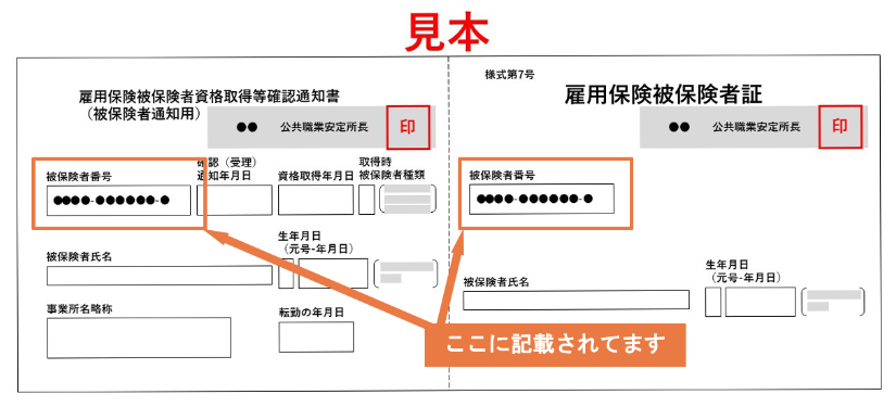 雇用保険被保険者証：見本1