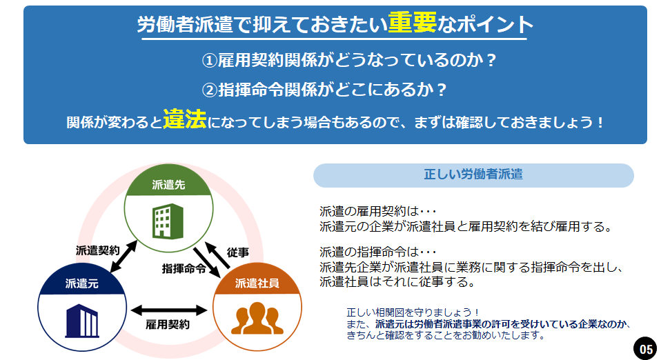 DL資料：内容