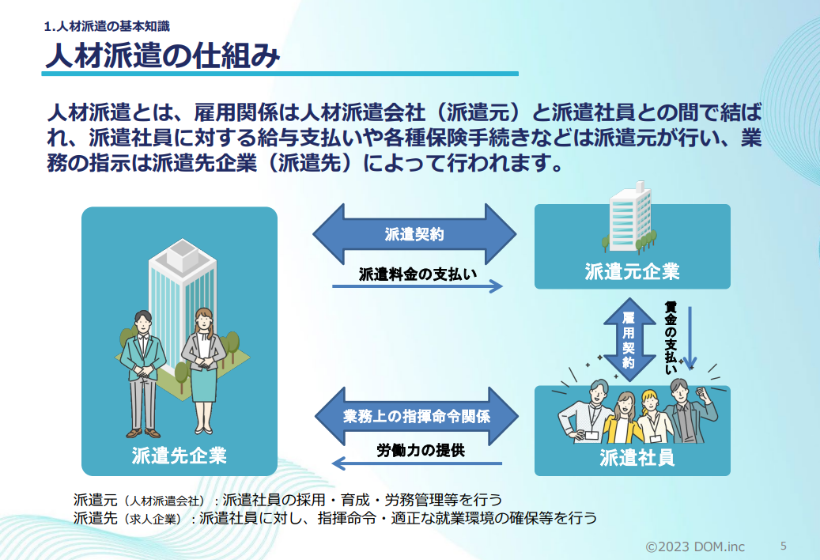 DL資料：内容